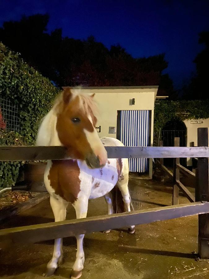 Dogdyke The Stable Annexe & Spa מראה חיצוני תמונה
