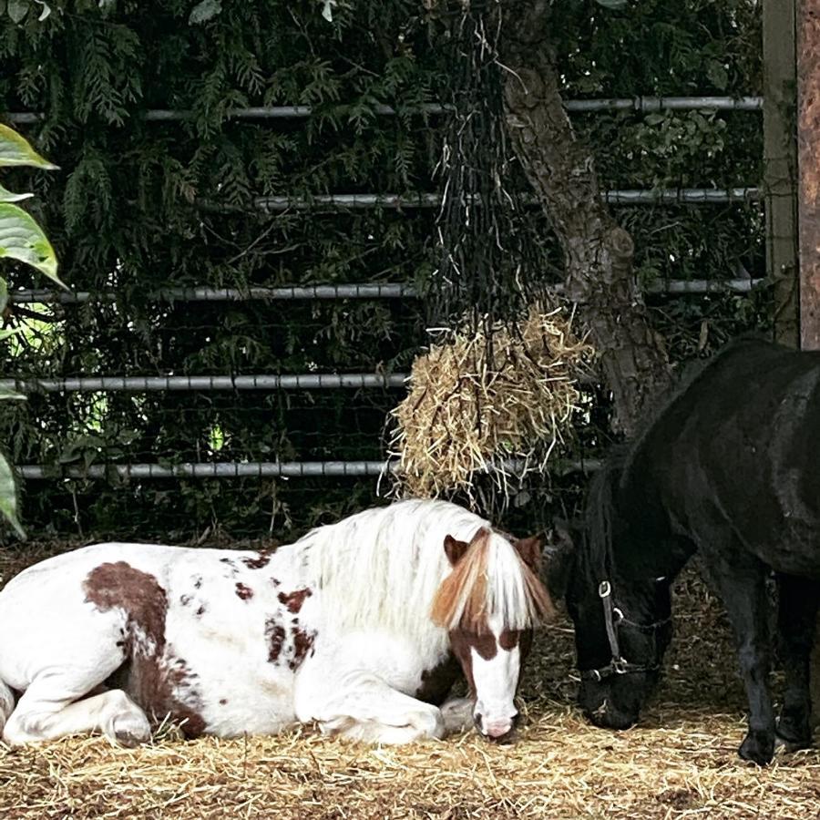Dogdyke The Stable Annexe & Spa מראה חיצוני תמונה