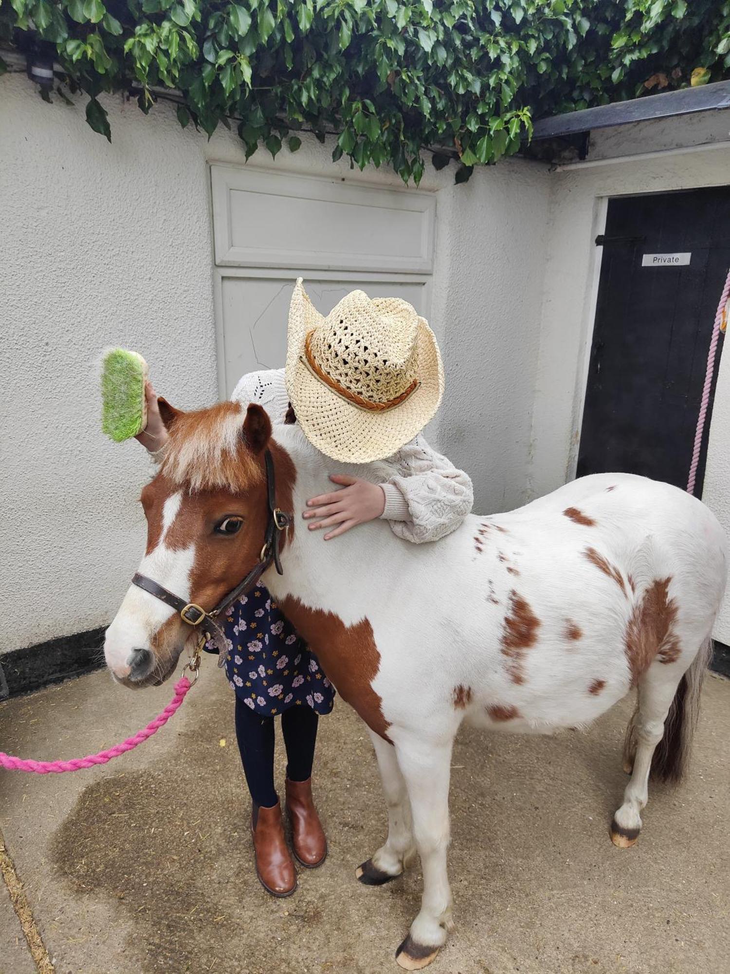 Dogdyke The Stable Annexe & Spa מראה חיצוני תמונה