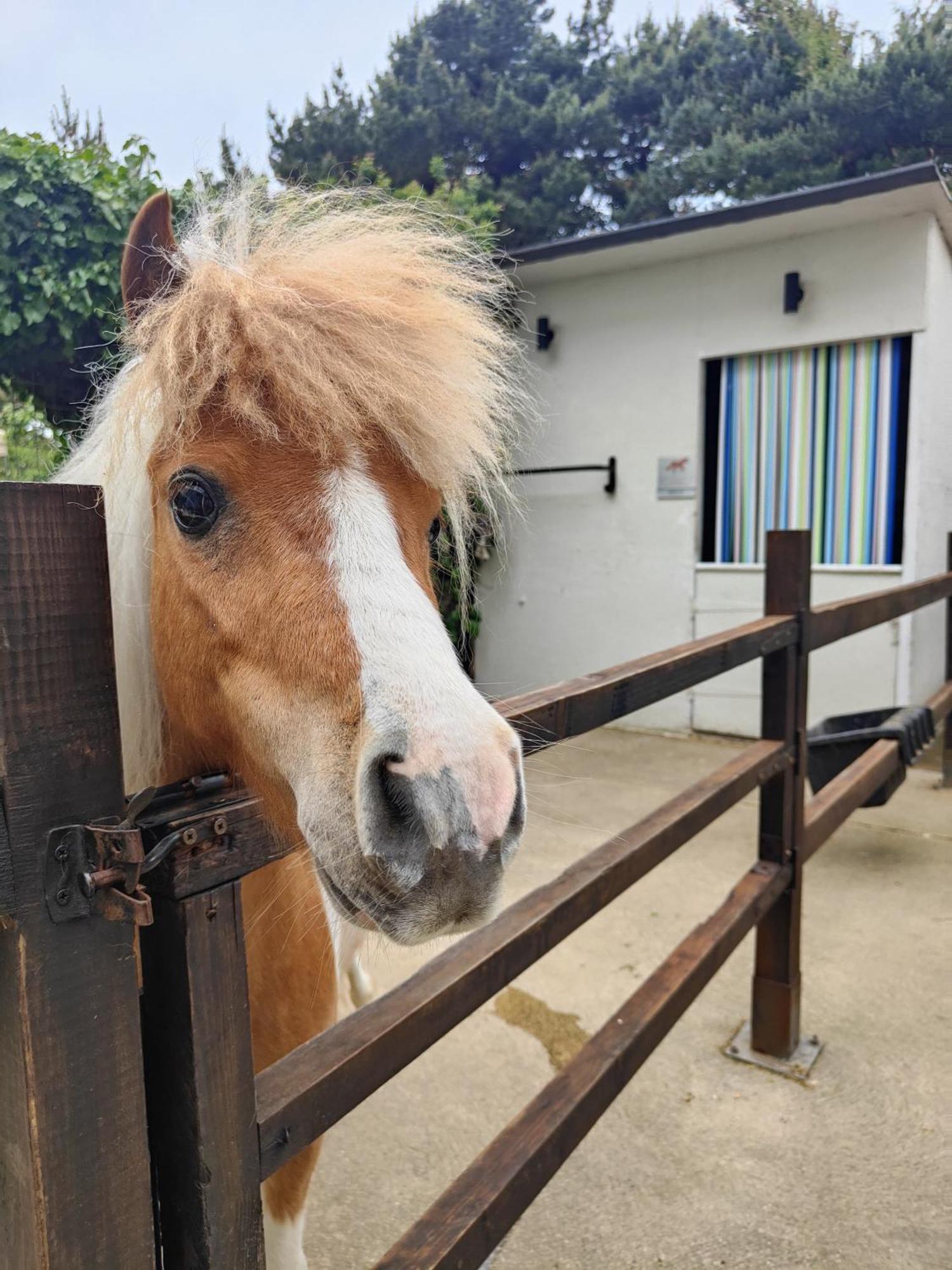 Dogdyke The Stable Annexe & Spa מראה חיצוני תמונה